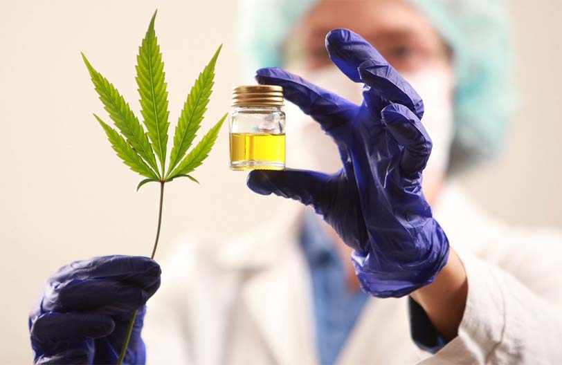 Conversatorio: Usos del Aceite de Cannabis medicinal