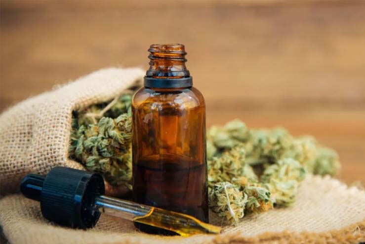 Cannabis medicinal: Nación autoriza el autocultivo y la venta en farmacias de aceites derivados