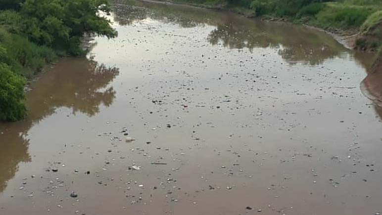 Un kilómetro de basura por el río Carcarañá