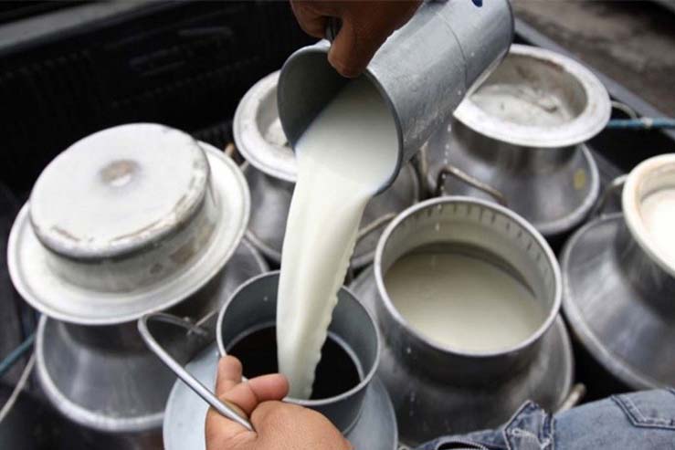 Productores entrerrianos proponen la venta de leche en tranquera