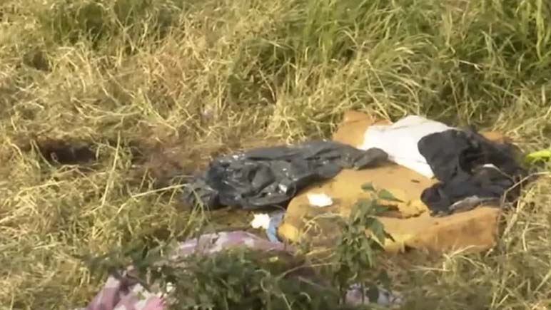 Un perro encontró una cabeza humana en la zona del Cruce Alberdi