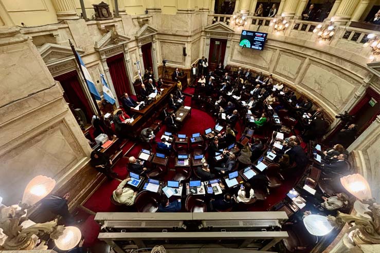 Senado: el Gobierno aprobó la ley de propiedad privada, pero tuvo que quitar otro capítulo.